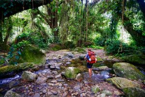 lost city, Colômbia, la ciudad perdida