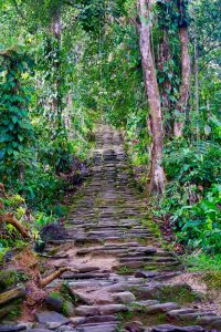 the lost city, la ciudad perdida