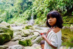 the lost city, la ciudad perdida